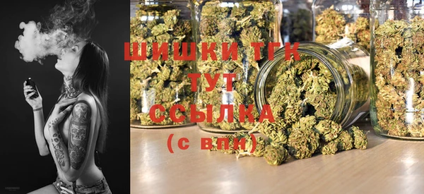 mdpv Снежногорск