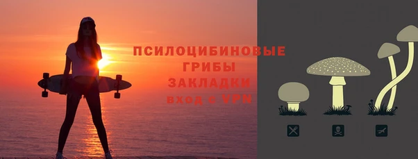 mdpv Снежногорск