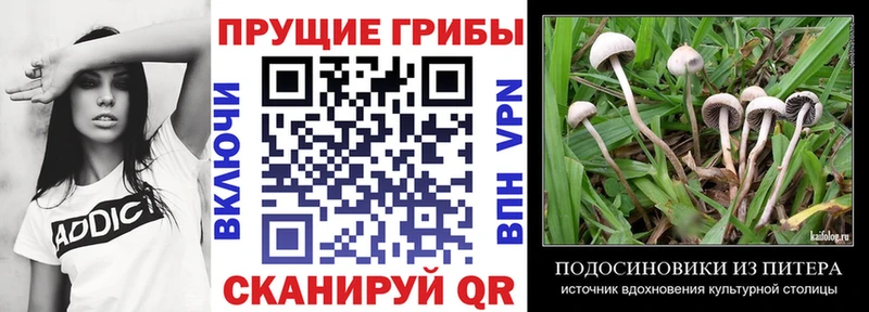 Псилоцибиновые грибы ЛСД  Купить закладки  Полтавская 